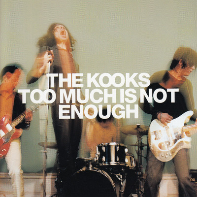 Too Much Is Not Enough/ザ・クークス