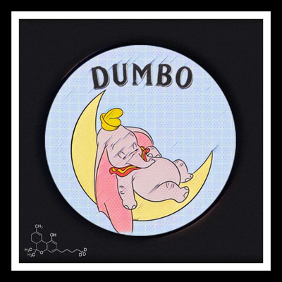 Dumbo/Larsky, Hensiv