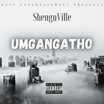 Umgangatho/Shenguville