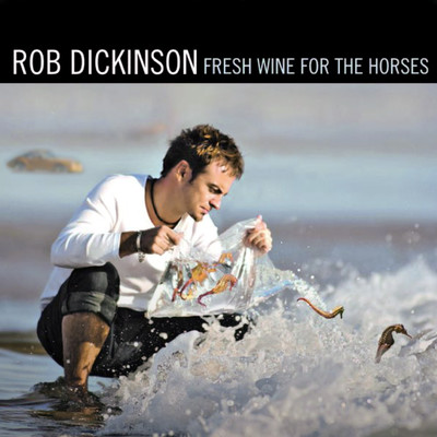 I Want to Touch You/Rob Dickinson