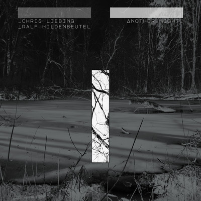 Fault Line feat. Miles Cooper Seaton (Plaid Remix)/Chris Liebing