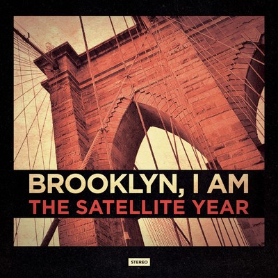 The Satellite Year