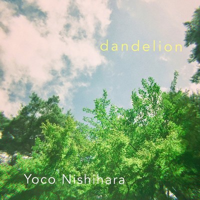 dandelion/Yoco Nishihara