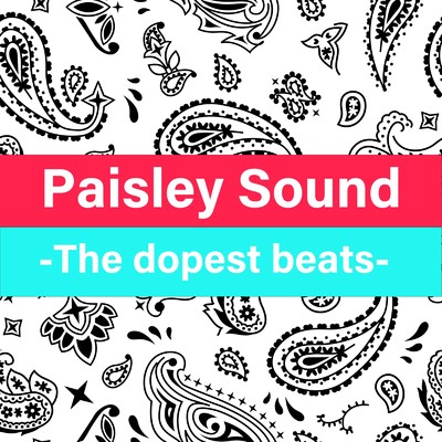 アルバム/The dopest beats for freestyle rap battle, Vol.4/Paisley Sound