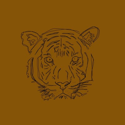 シングル/Tiger/Xshin