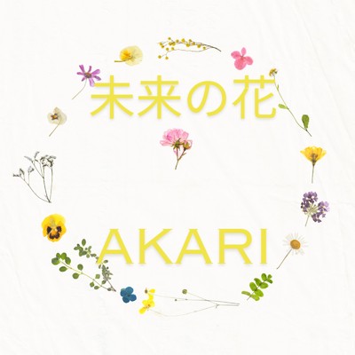未来の花/AKARI