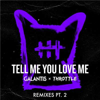 シングル/Tell Me You Love Me (Ari Remix)/Galantis & Throttle