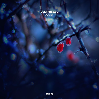 アルバム/Lover/Alireza