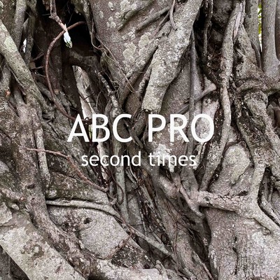アルバム/second times/ABC PRO