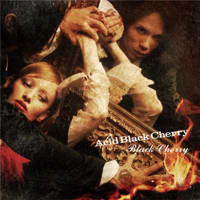 Black Cherry/Acid Black Cherry