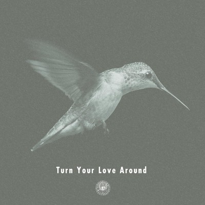 シングル/Turn Your Love Around (Instrumental)/AmPm