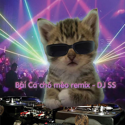 Bai Ca Cho Meo (DJ SS Remix)/DJ SS