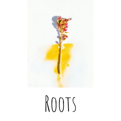 アルバム/Roots/MaSssuguMusic