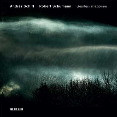 Schumann: 森の情景 作品82 - こころよい風景/アンドラーシュ・シフ