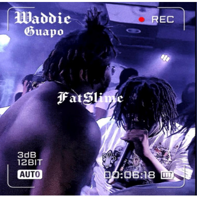 アルバム/FatSlime/Waddie Guapo
