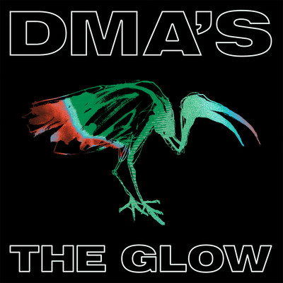 アルバム/THE GLOW/DMA'S