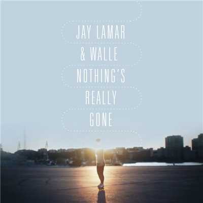 シングル/Nothing's Really Gone/Jay Lamar & Walle