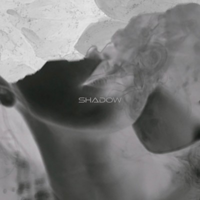 SHADOW (feat. EiZi)/YG light