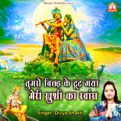 Tumse Bichad Ke Toot Gaya Meri Khushi Ka Swans/Divya Shakti