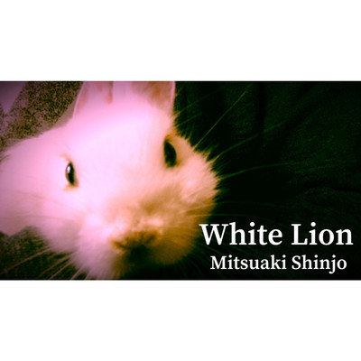 シングル/White Lion/Mitsuaki Shinjo