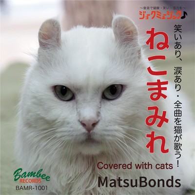捨て猫ブルース -キャットスキャット-/MatsuBonds