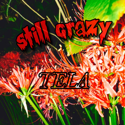 シングル/still crazy/TELA