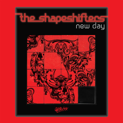 New Day (Erick E Dub Mix)/The Shapeshifters