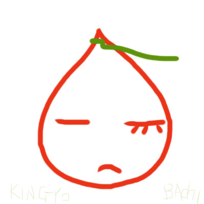 シングル/mango/kingyobachi