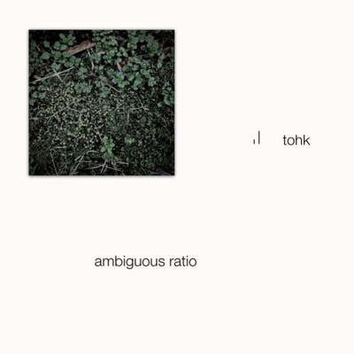 アルバム/ambiguous ratio/tohk