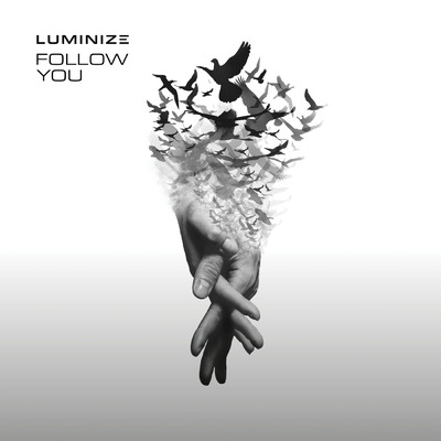 シングル/Follow You/Luminize