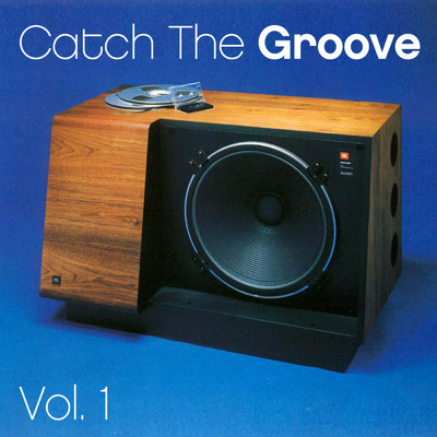 Catch The Groove, Vol. 1/Various Artists