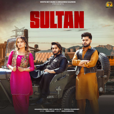 Sultan (feat. Vaishali Chaudhary)/Himanshu Kaushik, Shiv R & Anjali 99