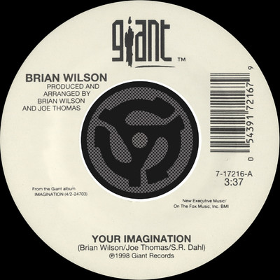 Your Imagination ／ Your Imagination (A Cappella) [45 Version]/ブライアン・ウィルソン