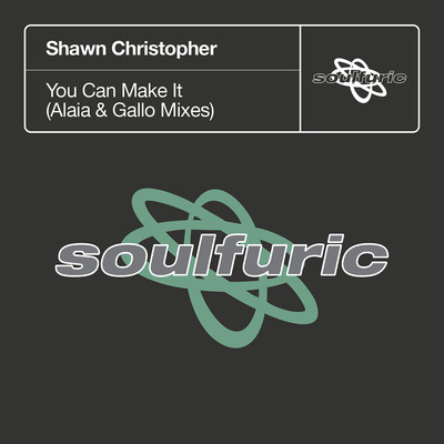 You Can Make It (Alaia & Gallo Extended Remix)/Shawn Christopher