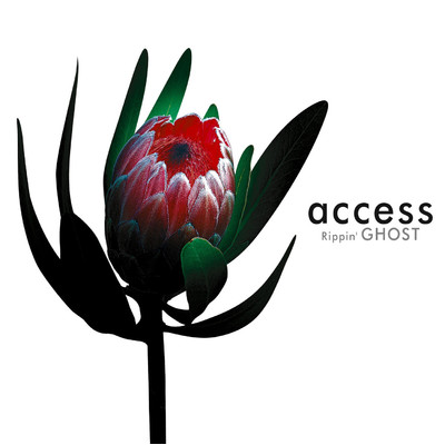 ANOTHER DAY/access