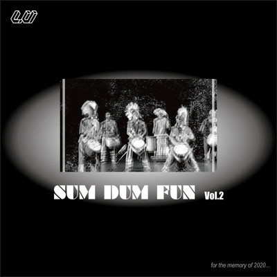 Sum Dum Fun VOL.2/Various Artists