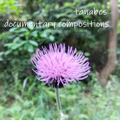 documentary compositions/tanabes