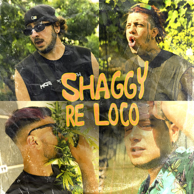 SHAGGY RE LOCO (Explicit) (featuring ElBroda, JALFON)/GIIANPA NK／ARTIX！／Maylo 420