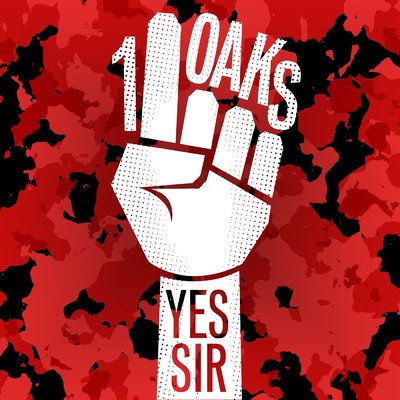 Yes Sir (Honka Remix)/1Oaks