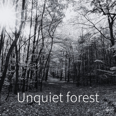 Unquiet forest/矢代優