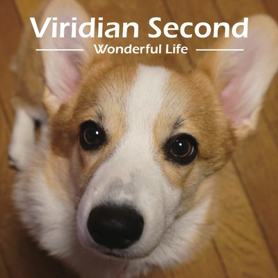 Viridian Second - Wonderful Life -/Viridian