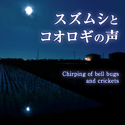 スズムシとコオロギの声/ジャパニーズネイチャーサウンド ・ 睡眠 作業