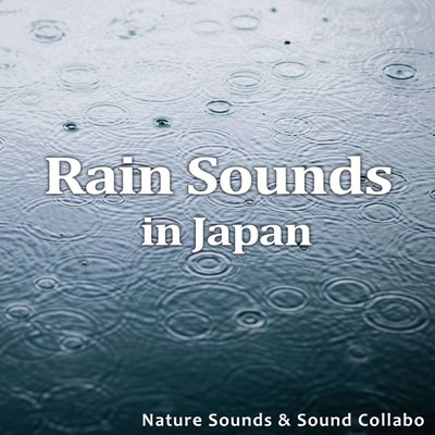 シングル/野鳥の森のしとしと雨 〜志賀高原〜/自然音 & サウンド・コラボ