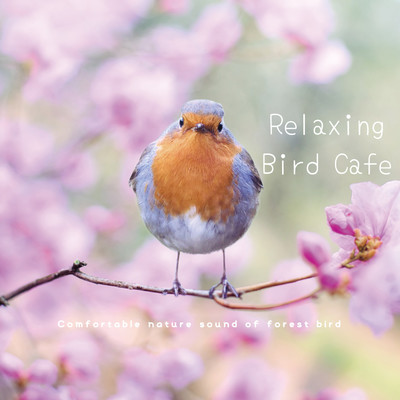 ゆったりのんびりバードカフェ | Relaxing Bird Cafe 〜 Comfortable nature sound of forest bird/VAGALLY VAKANS