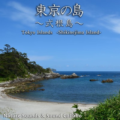 ゆったりした波 〜石白川海水浴場〜/Nature Sounds & Sound Callabo