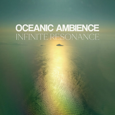 アルバム/オーシャニックアンビエンス〜 OCEANIC AMBIENCE 〜 INFINITE RESONANCE/VAGALLY VAKANS