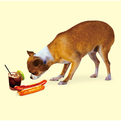 野良犬／ホットドッグとラムコーク/THE CATTLEFISH FRITTER