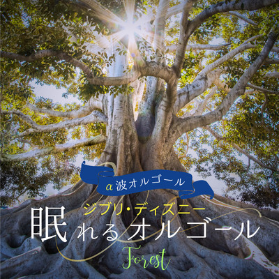 美女と野獣 (オルゴール) 【『美女と野獣』より】 (forest)/Healing Energy