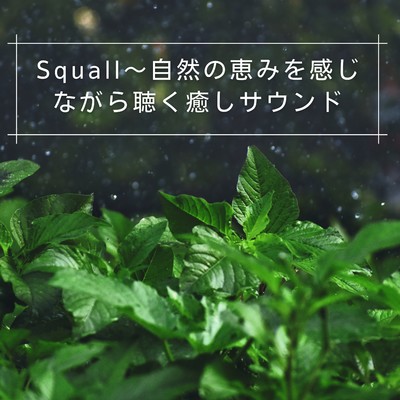 アルバム/Squall〜自然の恵みを感じながら聴く癒しサウンド/Coffee Magic