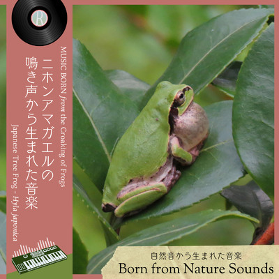 Lounge House of Japanese Tree Frogs/自然音から生まれた音楽